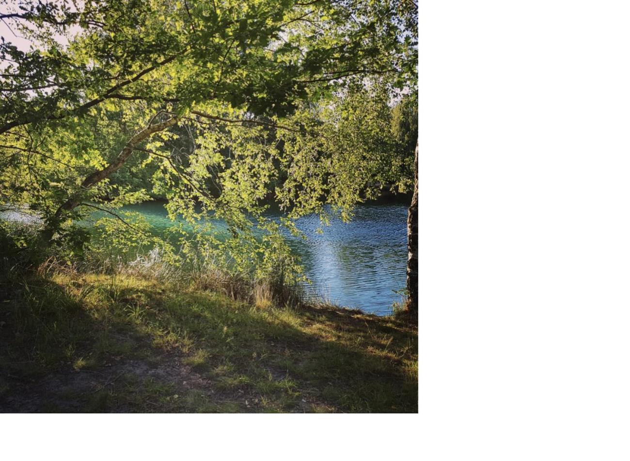 Feel Like Home - Metime2 Frielendorf エクステリア 写真